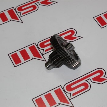 Şanzıman Ara Dişlisi - RKS Grace 202