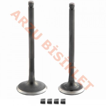 Subap Takımı (Tırnaklı) DQ - Honda ActivaS Subap Takımı (Tırnaklı) DQ - Honda ActivaS