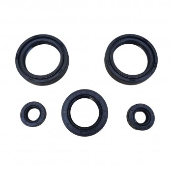 KEÇE SETİ 5 Lİ RKS TİTANİC 150 KEÇE SETİ 5 Lİ RKS TİTANİC 150