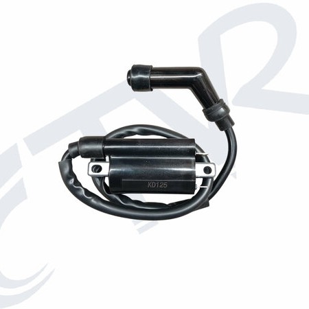 DRİFT L DIŞ BOBİN+BUJİ BAŞI DRİFT L DIŞ BOBİN+BUJİ BAŞI,MODİAL Elektirik Grubu %f