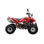 IŞILDAR-MOTORAN-APACHİ-DORADO