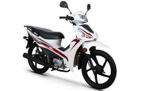 XY 100E CUB MODEL