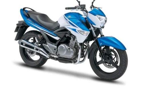 SUZUKİ GW 250 İNAZUMA