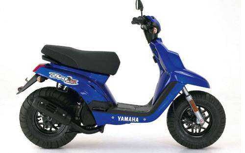 BWS 100