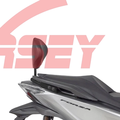 HONDA FORZA250350 (10-22) SISSY BAR BAĞLANTI DEMİRİ