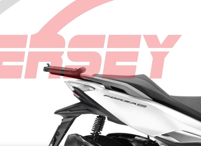 SHAD ÇANTA DEMİRİ HONDA FORZA 250  ADV350