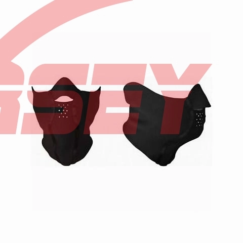 Armode Maske Kulaklı