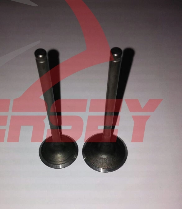 Rmg Emme Egzoz Sübap Takımı Honda Cbf 150