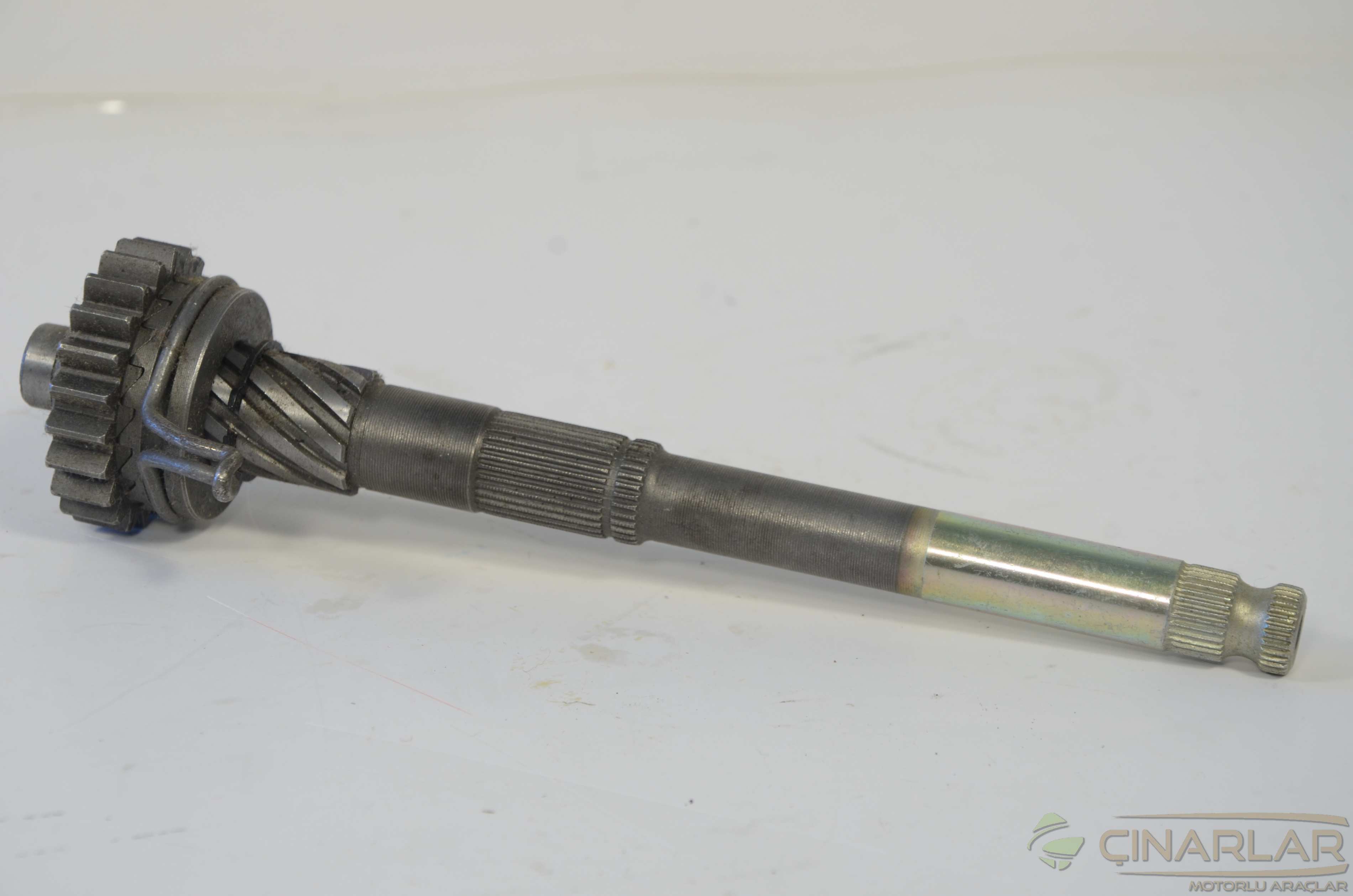 CUP 100 MARŞ MİLİ ( CTVR )
