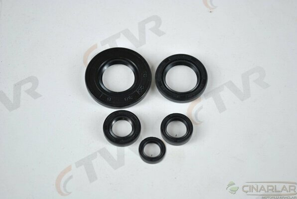 YBR 125 KEÇE TAKIMI OEM