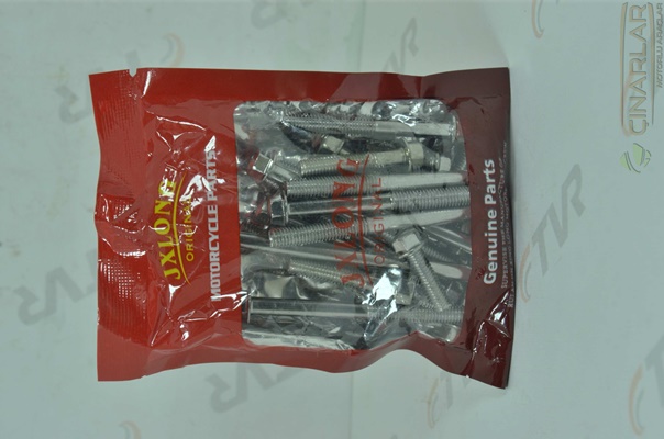 CUP 100 MOTOR VİDA SETİ CTVR