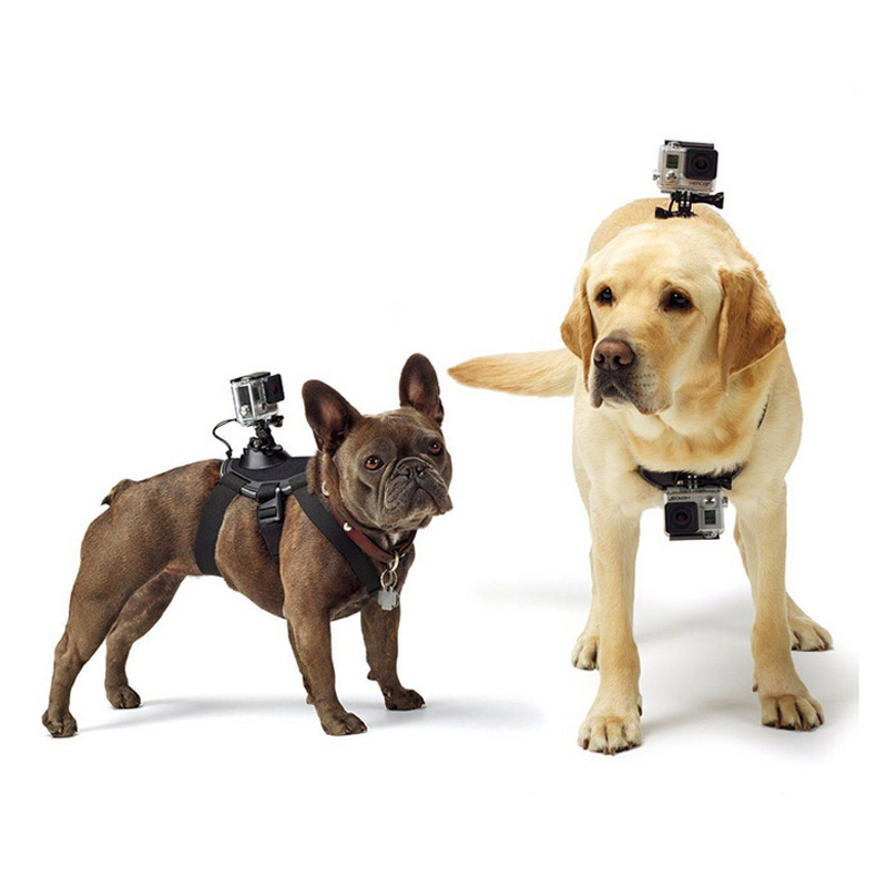 KNMASTER Tüm Aksiyon Kameralara Uyumlu Köpekler İçin Kamera Askısı
