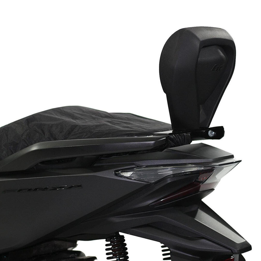 GP Kompozit GP Kompozit Honda Forza 250 2018-2020 Uyumlu Sissy Bar Siyah GP09230700101384