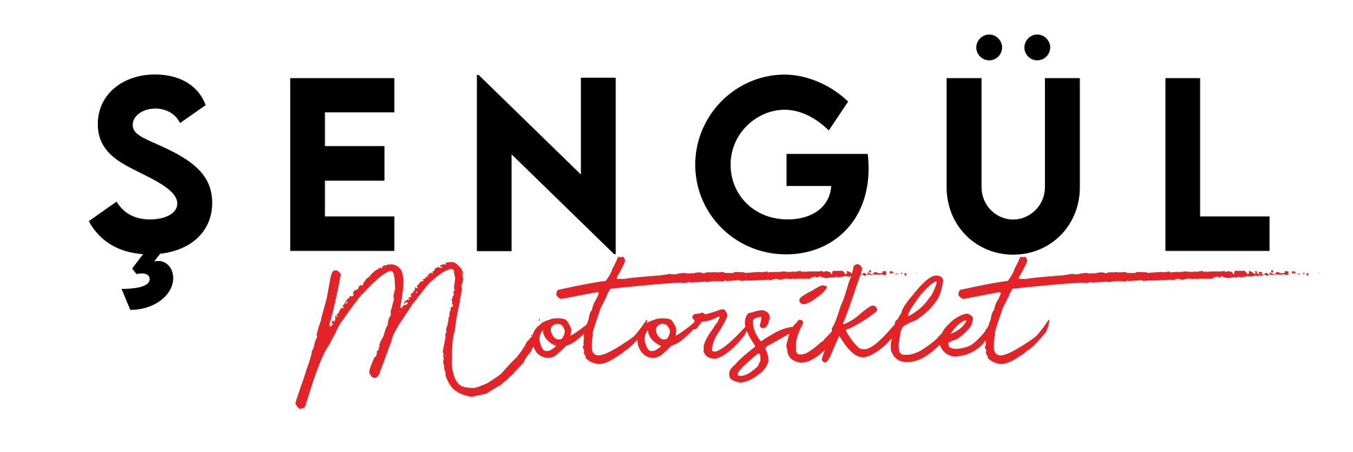 Anasayfa