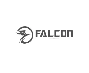 VOGE Falcon Cooper 125 Efı Statör