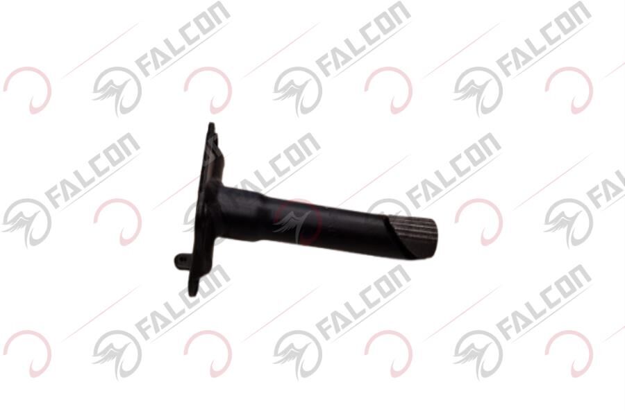 Falcon Julıa Gidon Tablası
