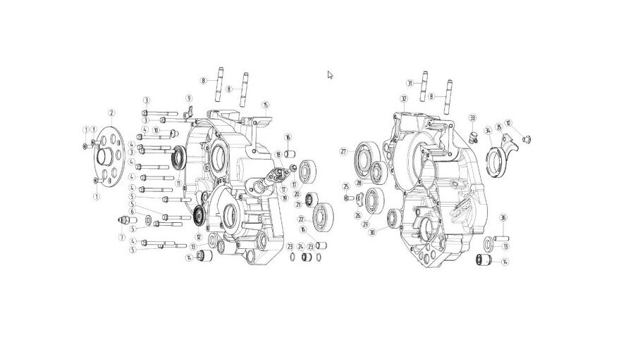 YUKİ DIRTY PAWS 250 2T MOTOR BLOĞU SOL